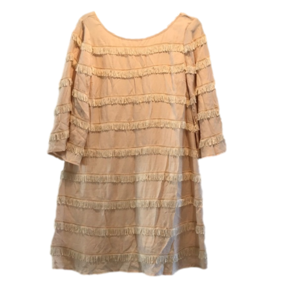 Ark & co fringe dress